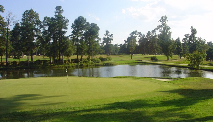 Shannon Greens Golf Club 18th Hole